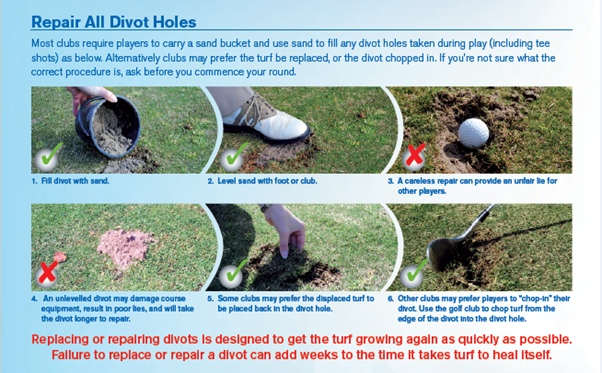 repair divot holes.png